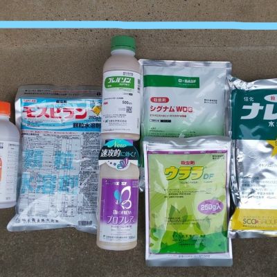 農薬写真_LI-1