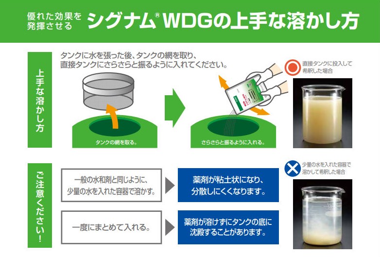 2つの成分でダブルブロック シグナム Wdg 株 幸島園種苗