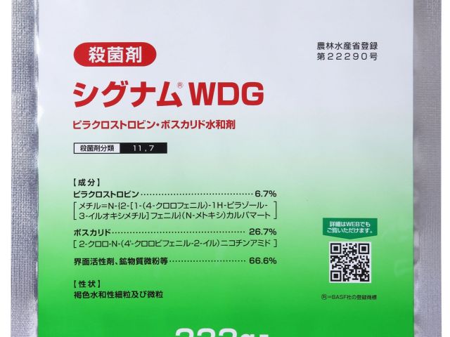 シグナムWDG333g-2020
