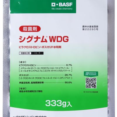 シグナムWDG333g-2020