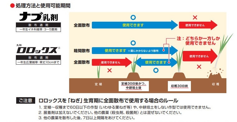 畑作のイネ科雑草の除草に『ナブ®乳剤』 | (株)幸島園種苗