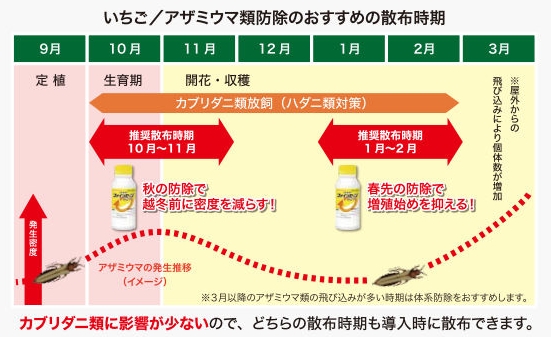 アザミウマ類に ファインセーブ フロアブル 株 幸島園種苗