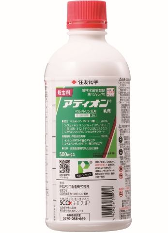 サイズ