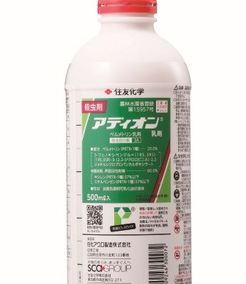サイズ