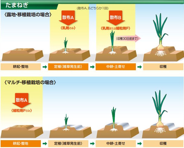 雑草発生前の土壌処理（除草剤）『ゴーゴーサン®細粒剤F』 – 株式会社 