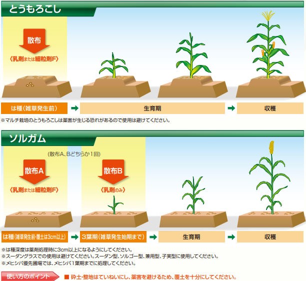 雑草発生前の土壌処理（除草剤）『ゴーゴーサン®細粒剤F』 | (株)幸島園種苗