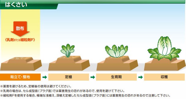 雑草発生前の土壌処理（除草剤）『ゴーゴーサン®細粒剤F』 | (株)幸島園種苗