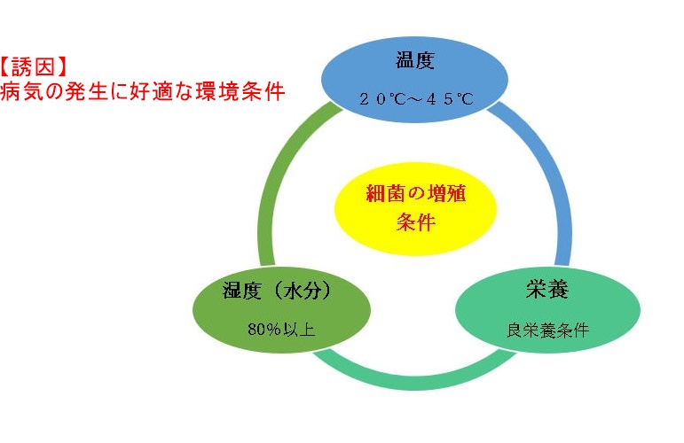 病原菌の種類と抗生物質剤 – 株式会社幸島園種苗