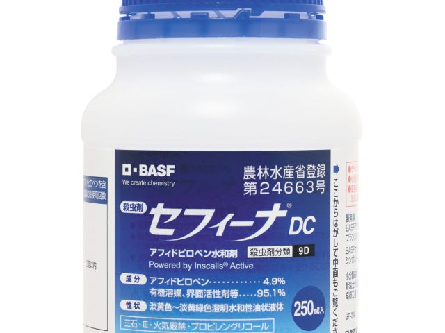 240405セフィーナDC250ml製品画像
