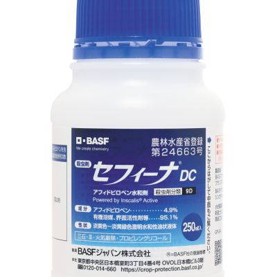 240405セフィーナDC250ml製品画像