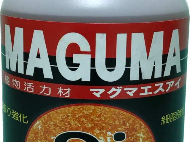 P26_写真1_マグマ_現物