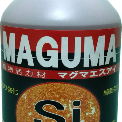 P26_写真1_マグマ_現物
